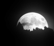 image of moon