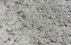 image of texture