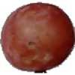 image of fruit