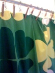 image of shower_curtain