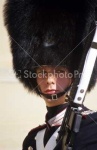 image of bearskin