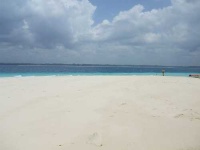image of sandbar