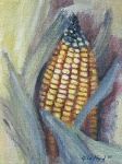 image of ear_corn #4