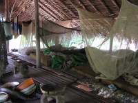 image of mosquito_net