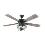 image of fan
