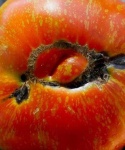 image of texture