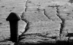 image of nail