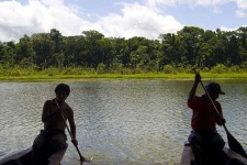 image of paddle