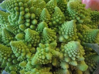 image of broccoli #20