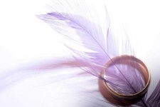 image of feather