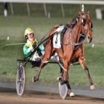 image of harness_racing #19