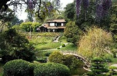 image of garden