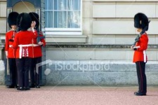 image of bearskin