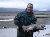 image of coho