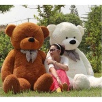 image of teddy_bear