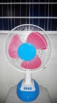 image of fan