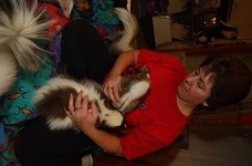 image of skunk