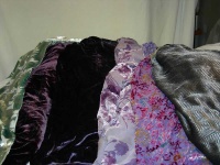 image of velvet