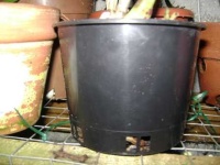image of pot