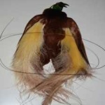 image of bird