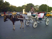 image of horse_cart #9