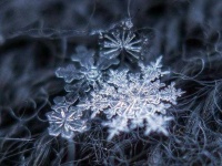 image of snowflake