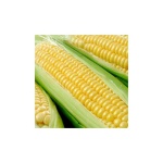 image of sweetcorn #16