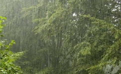 image of rain