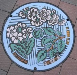 image of manhole_cover