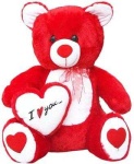 image of teddy_bear
