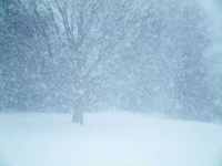 image of blizzard