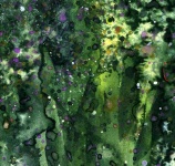 image of texture