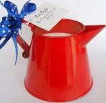 image of pitcher
