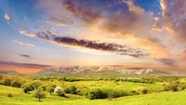 image of sunny