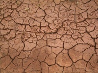 image of texture