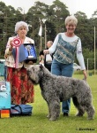 image of bouvier_des_flandres