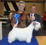 image of sealyham_terrier #29