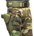 image of holster