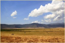 image of grassland
