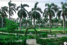 image of garden
