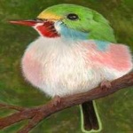 image of bird