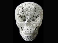 image of skull