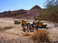 image of jeep_car
