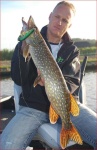 image of barracouta