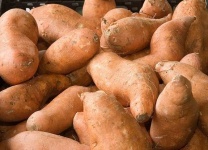 image of fruit_and_vegetable