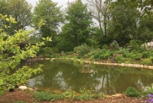 image of pond