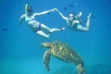 image of snorkel
