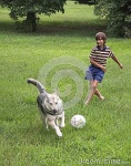 image of people_play_with_dog
