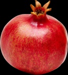 image of pomegranate #18