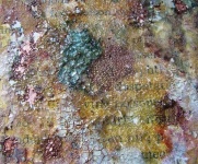image of texture